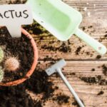 Mannacote vs. Traditional Fertilizers: What You Need to Know