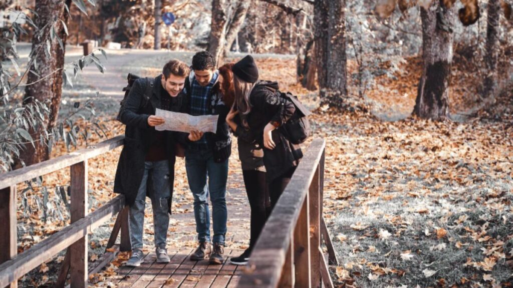 Ракитовица