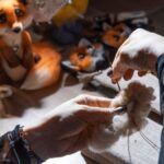 Wollwirrware Techniques: Mastering the Craft of Wool Artistry