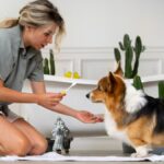 How to Care for Your Pet Streemaus: Tips and Tricks for Owners